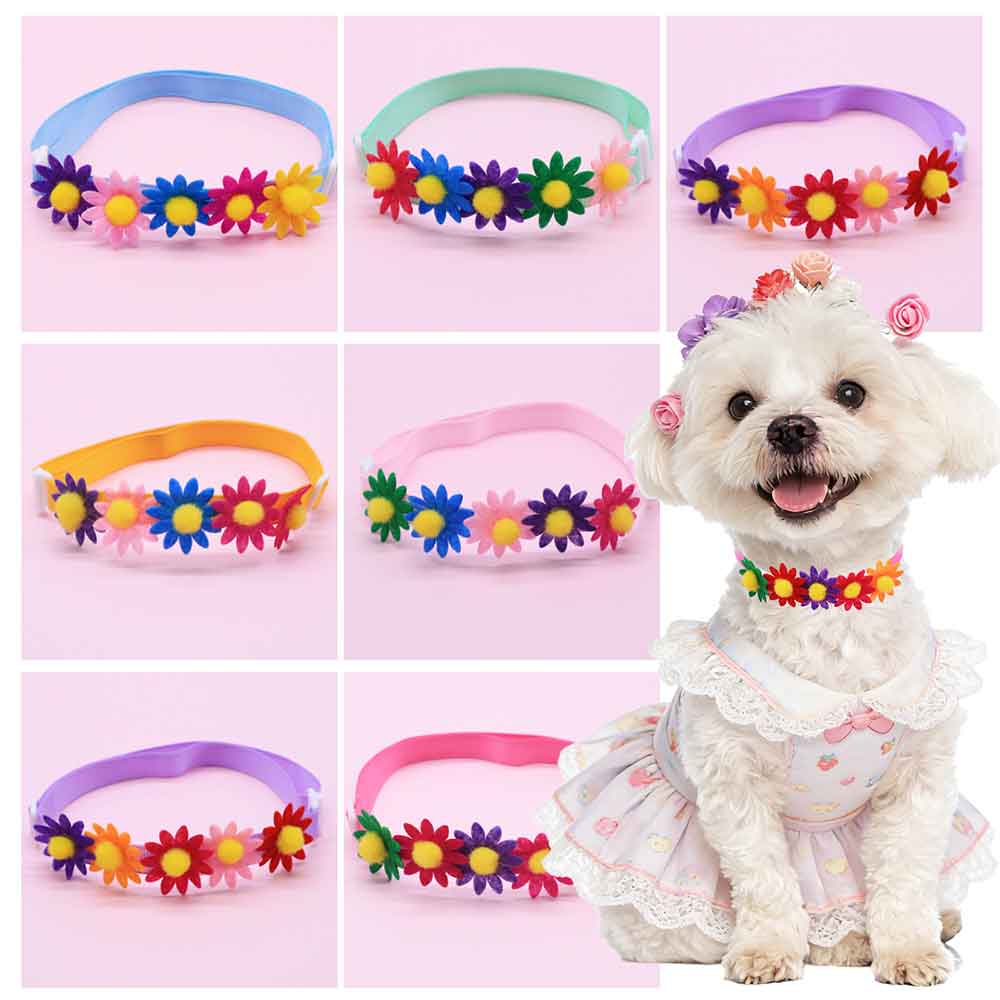 Pet Supplies Hours - 50 Pezzi Fiocchi Colorati per Cani,