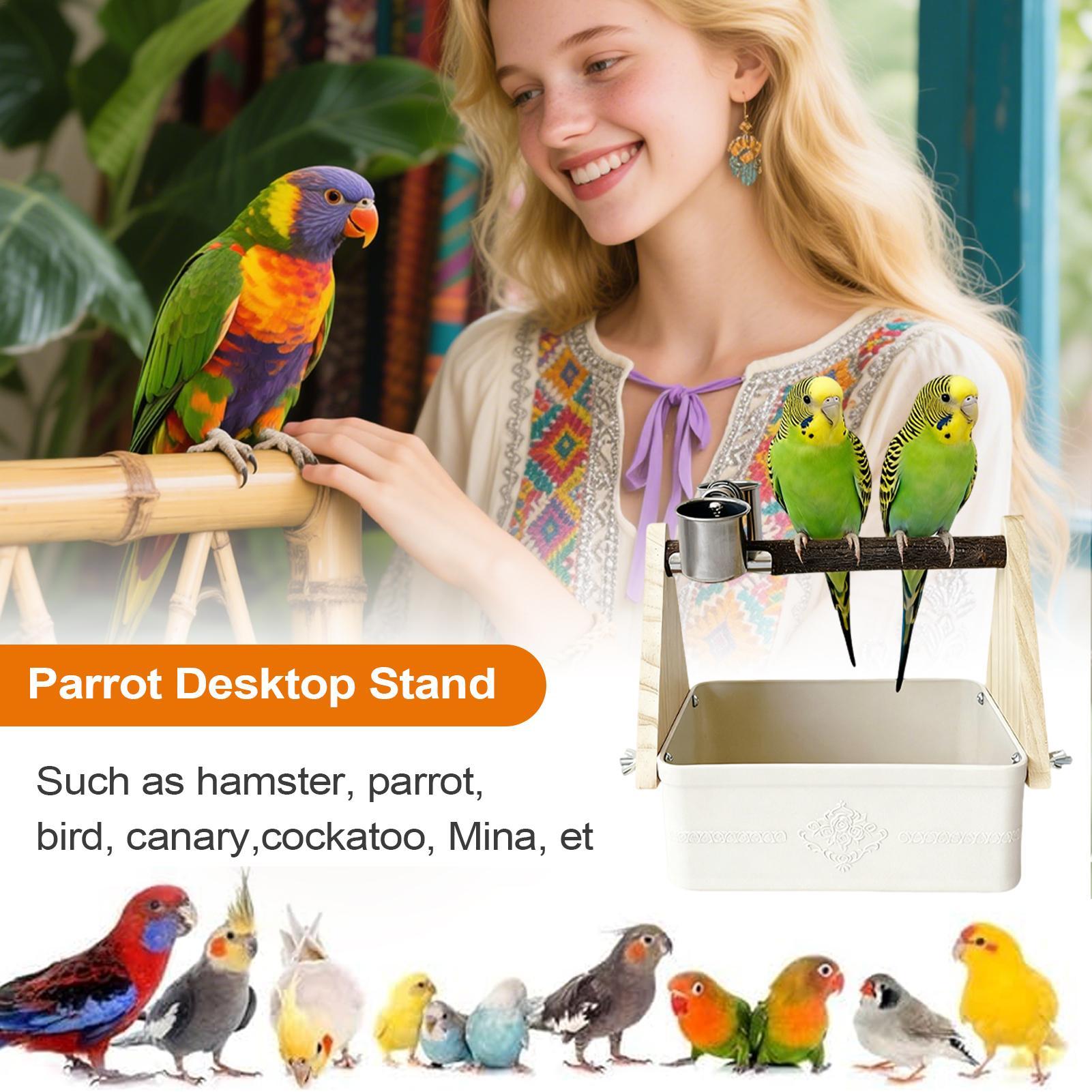 Pet Supplies Zoo - Posatoio da Tavolo per Uccelli, Forniture