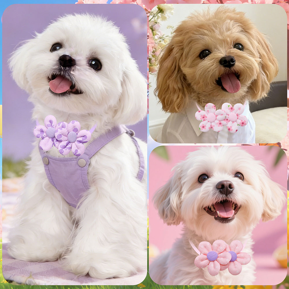 10 Pezzi Fiocchi a Forma di Fi - Pet Supplies Hours recensione e prezzo