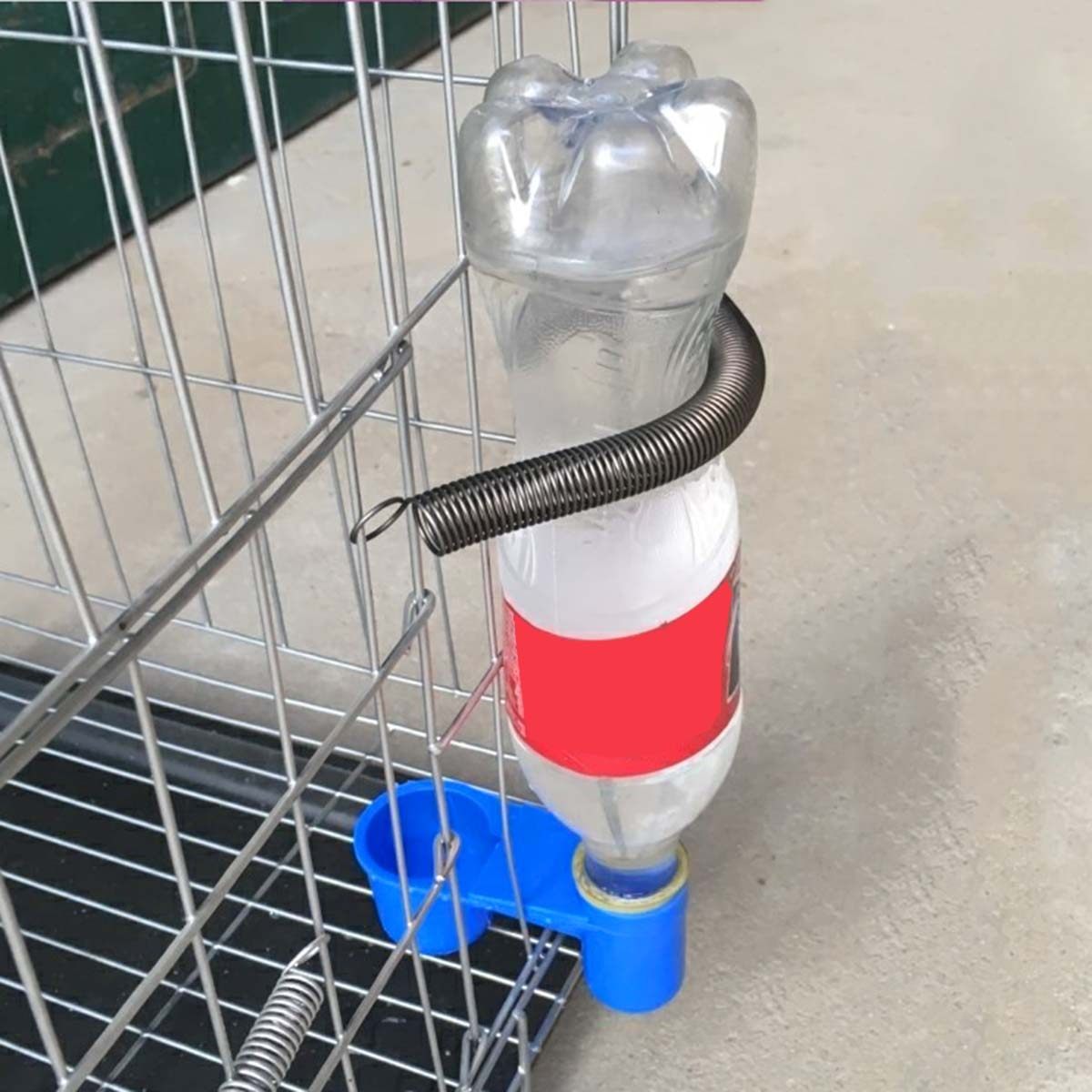 Set di 5 Abbeveratoi in Plasti - Pet Supplies Zoo recensione e prezzo