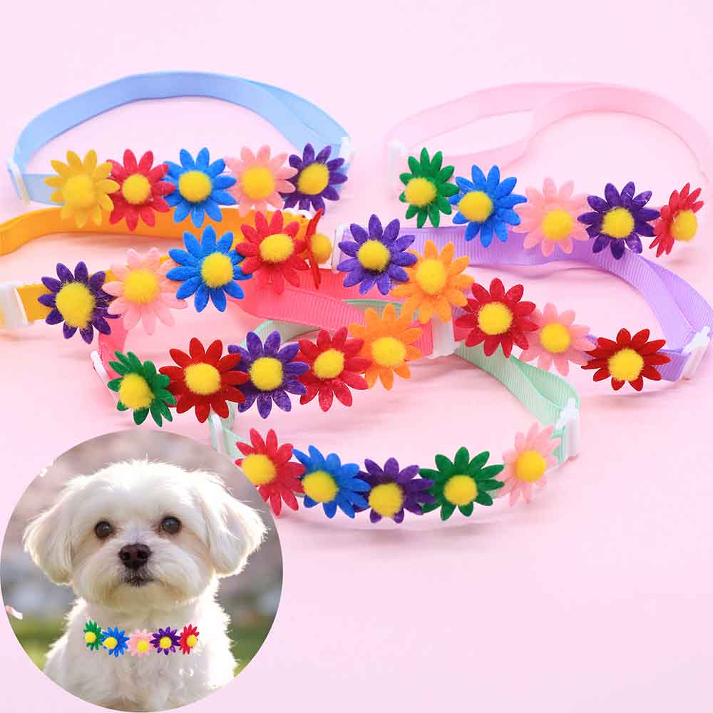 50 Pezzi Fiocchi Colorati per  - Pet Supplies Hours recensione e prezzo