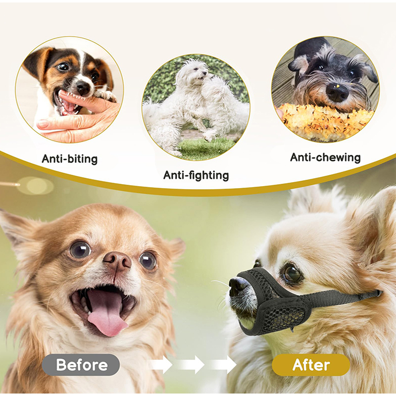 Museruola in rete anti-morso p - Pet Supplies Hours recensione e prezzo