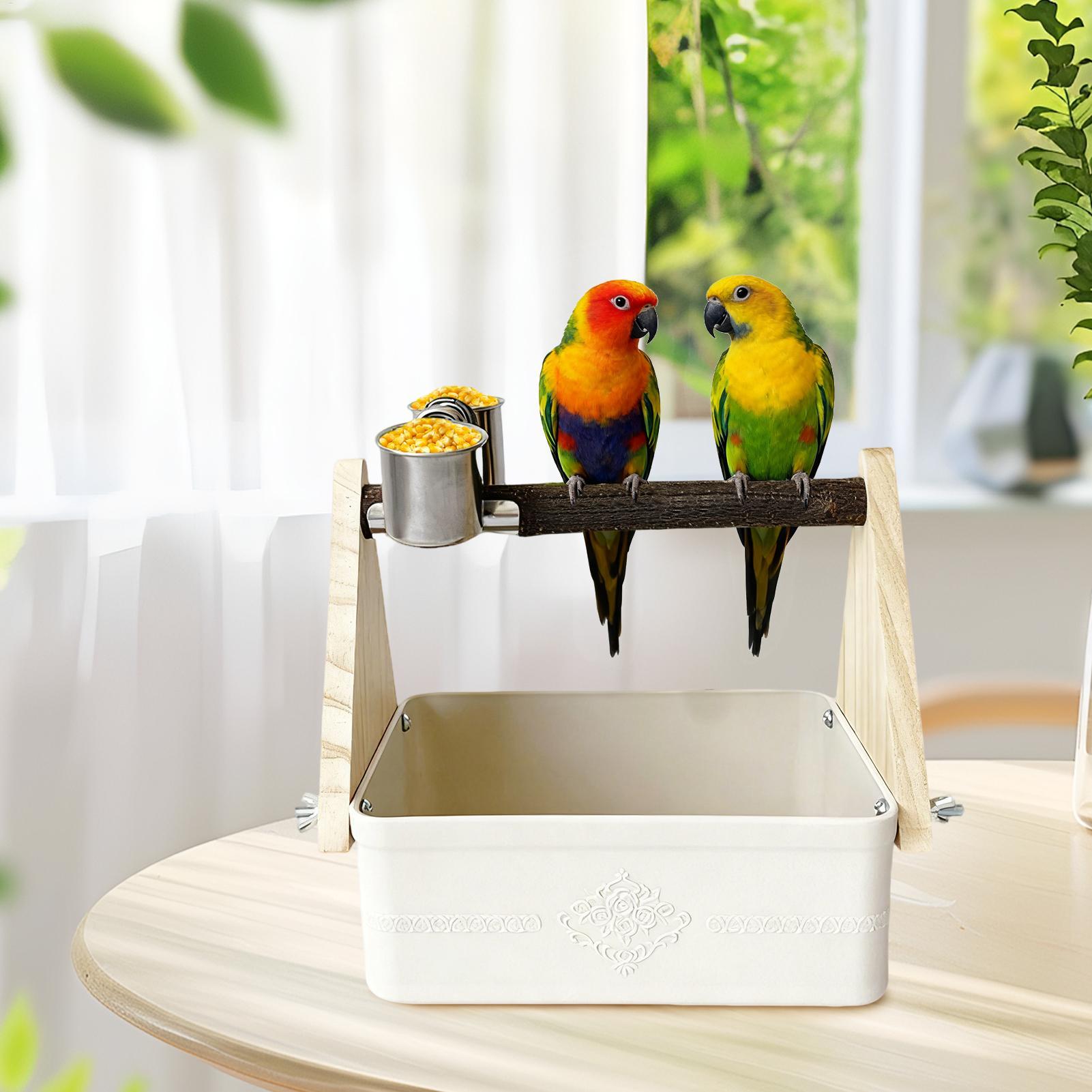 Posatoio da Tavolo per Uccelli - Pet Supplies Zoo recensione e prezzo