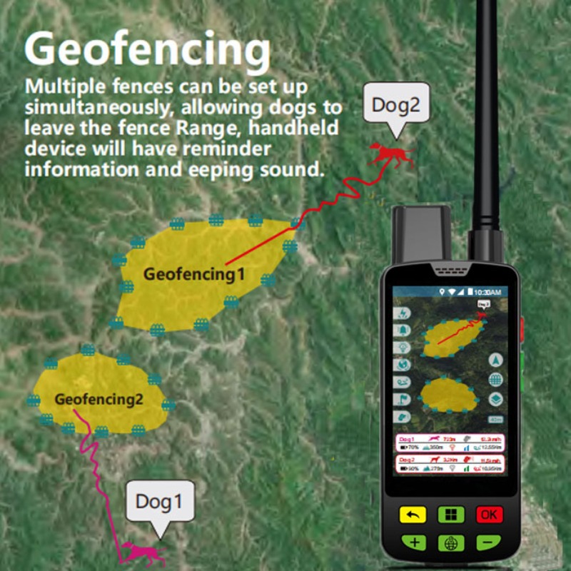 Collari GPS per la caccia al B - Pet Supplies Distributor recensione e prezzo