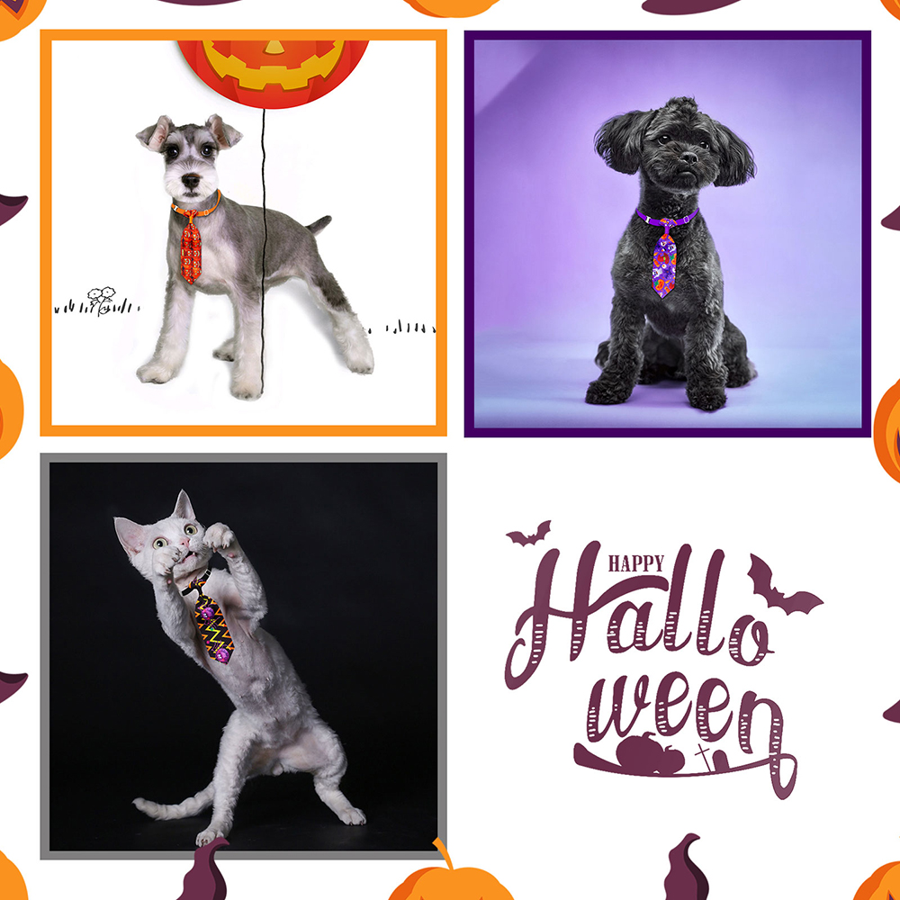 50/100pcs Halloween Accessori  - Pet Supplies Hours recensione e prezzo