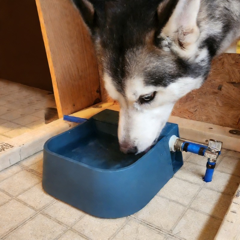 Distributore automatico di acq - Pet Supplies Unlimited recensione e prezzo