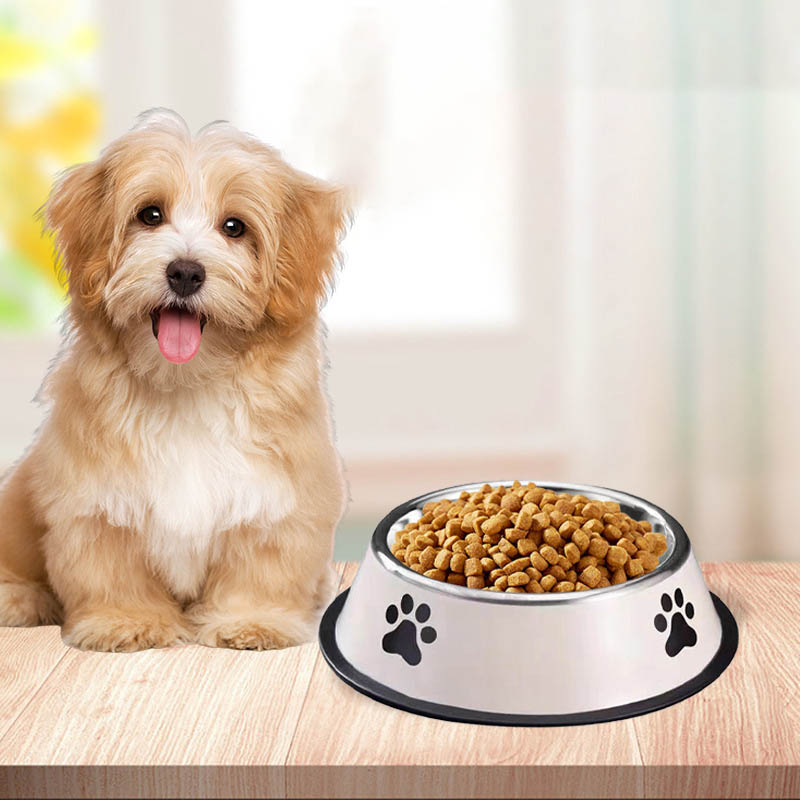 Ciotola per Animali Domestici  - Pet Supplies Hours recensione e prezzo