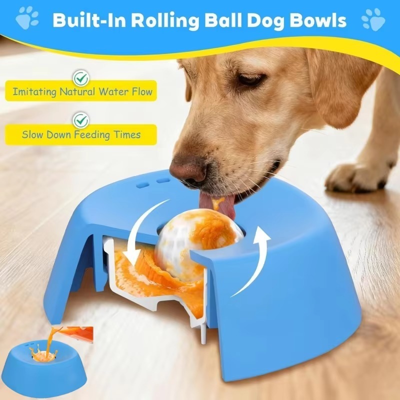 Ciotola per cani da 1 pezzo co - Pet Supplies Hours recensione e prezzo